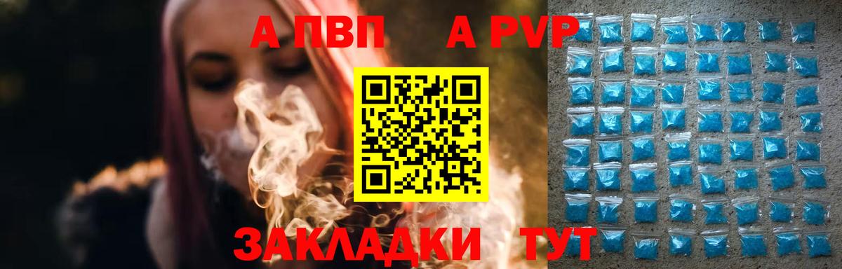 A PVP СК Москва
