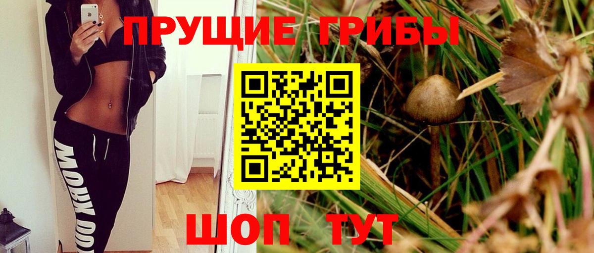 Псилоцибиновые грибы прущие грибы  Вход с VPN  Москва 